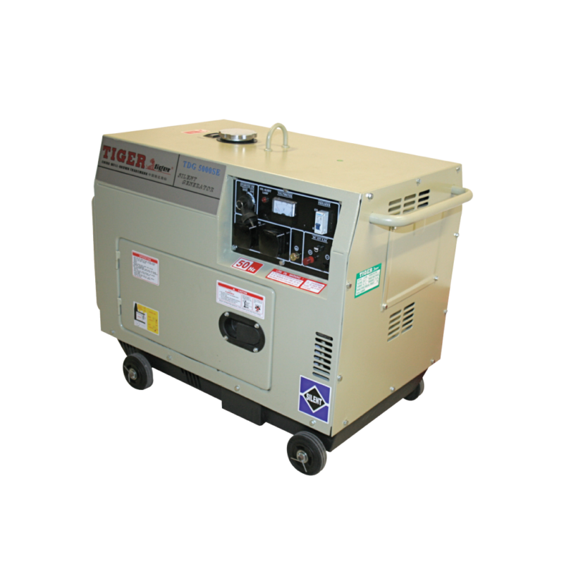 DG 20005 2KW
TDG AE 3500 3.5KW - KEY START 
TDG AE 5000 4.5KW - KEY START 
TDG SE 5000 5.0KW - KEY START
